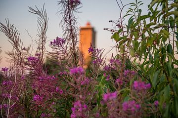 Terschelling au coucher du soleil avec les Brandaris sur Wendy de Jong