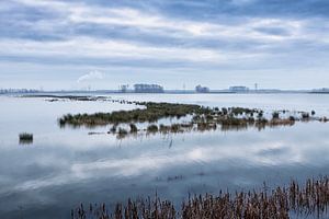 Landschaft Noordwaard Biesbosch