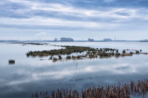Landschap Noordwaard Biesbosch