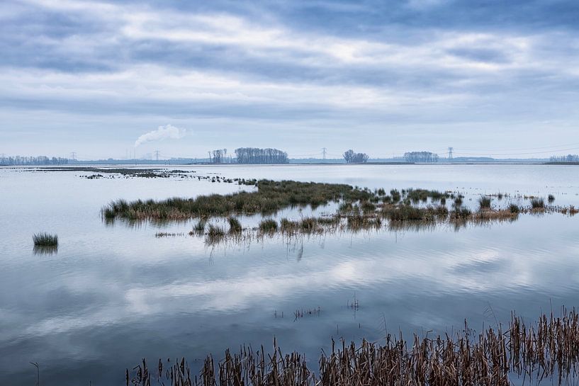 landscape Noordwaard Biesbosch by Eugene Winthagen