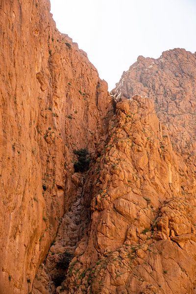 Morocco's red rocks by S van Wezep