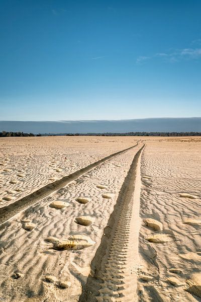 loonse and drunense dunes by Peter Smeekens