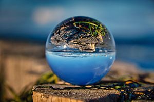 Glazen bol op het strand van Zingst op een krib van Martin Köbsch