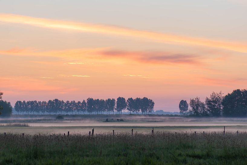 mistig en kleurrijk van Tania Perneel