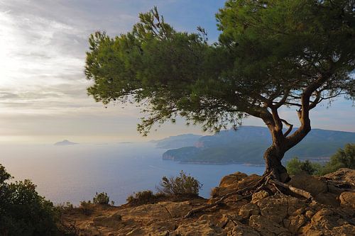 An evening on the Côte d'Azur, on the rocks by the sea by BHotography