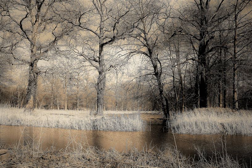 Natuur by Angela van den Berg