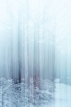 Wolfhezerheide partie 165