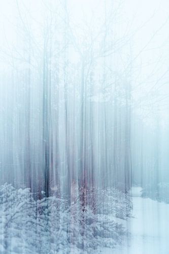 Wolfhezerheide part 165