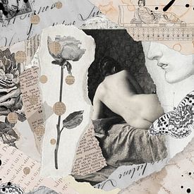 Collage of Curiosities van Marja van den Hurk