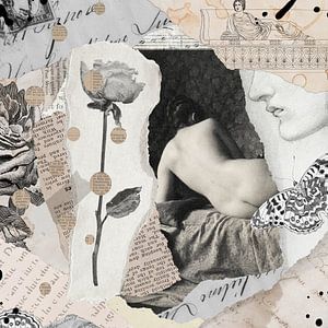Collage of Curiosities