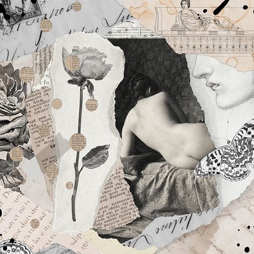 Collage of Curiosities von Marja van den Hurk