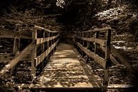 the bridge to....
