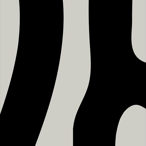 Zwarte Abstracte Organische Geometrische Vormen nr. 6