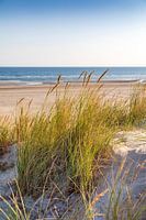 On the North Sea beach