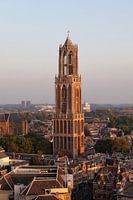 Utrecht Cathedral Tower in the skimming light of the early evening captured from the Neudeflat.