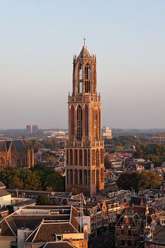 Utrechtse Domtoren in het strijklicht van de vroege avond vastgelegd vanaf de Neudeflat.