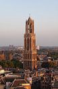 Utrechtse Domtoren in het strijklicht van de vroege avond vastgelegd vanaf de Neudeflat. van André Blom Fotografie Utrecht thumbnail