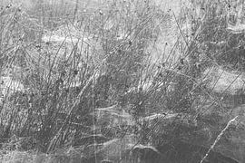 Mistige zonsopkomst Duurswouderheide (Nederland) van Marcel Kerdijk