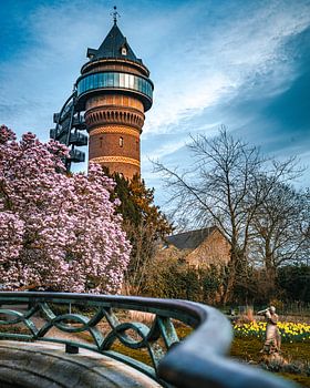 Aquarius Water Museum