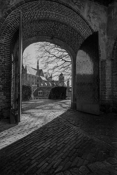 The Hooglandse Church seen from the Burcht in Leiden by Peter Bartelings