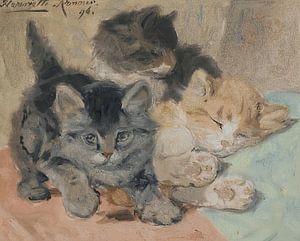 Henriëtte Ronner-Knip - Drei Kätzchen (1896)