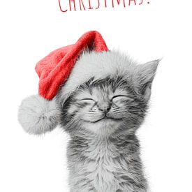 Süßes Weihnachtskätzchen von Melanie Viola