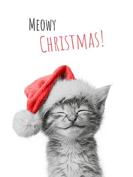 Süßes Weihnachtskätzchen