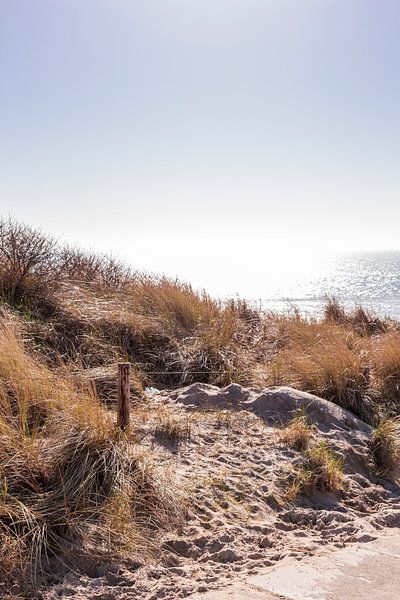 Presque sur la plage par Manon van Bochove