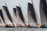 Skûtsje classic Frisian sailing Tjalk ships by Sjoerd van der Wal thumbnail