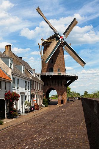 De windmolen van Wijk bij Duurstede