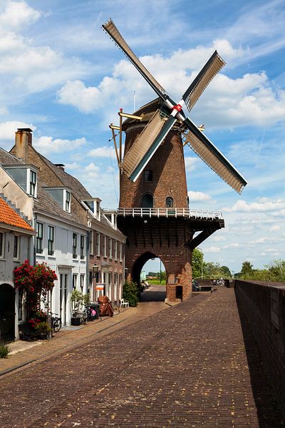 De windmolen van Wijk bij Duurstede van Jeroen van Esseveldt