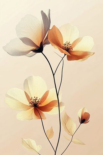 Boterbloemen in Geel