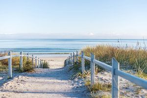 Ostseeweg auf Rügen – Pfad durch die Dünen zum Meer