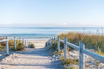 Ein Weg an die Ostseeküste von Florian Kunde