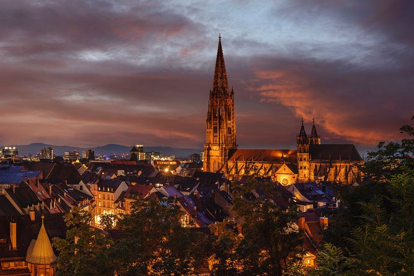 De Dom van Freiburg bij nacht van Markus Lange