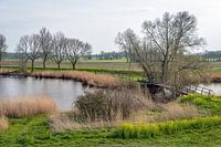 Waterrijk Nederlands landschap in de lente