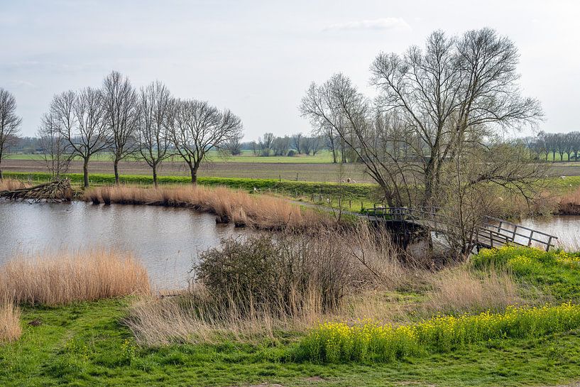 Waterrijk Nederlands landschap in de lente van Ruud Morijn