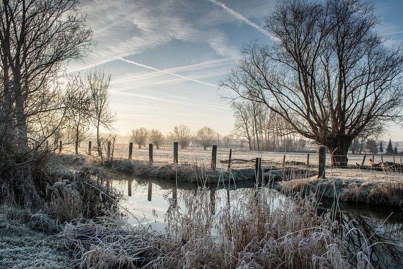 De zotte morgen in Zwalm par Alain Gysels