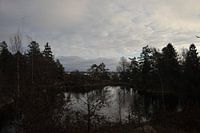 meer in het bos