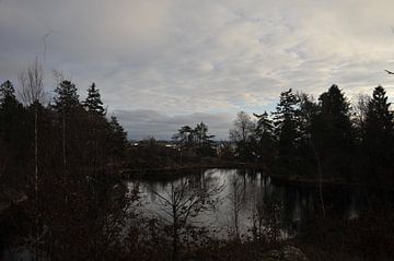 meer in het bos van Jeroen Franssen