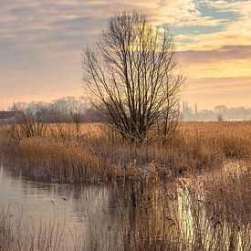 The Noordermolen, polder mill in Noorddijk in Groningen province on a winter morning. by Marga Vroom