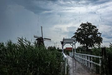 Typisch Hollands zomerlandschap