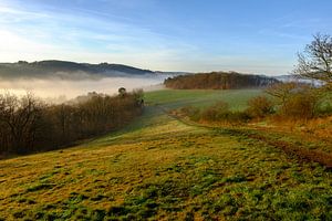 Mist langs het wandelpad