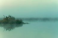 Shades of green in the mist by Faeline Creations thumbnail