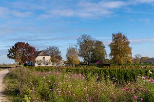 Das Haus auf den Ländereien von Oisterwijk von Els Oomis