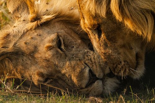 Waffenbrüder Teil 1