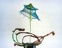  Liquid ART - rotation drops