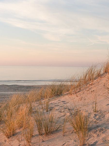 Serene Beach Sunset Wijk aan Zee, Niederlande von Dagmar Pels