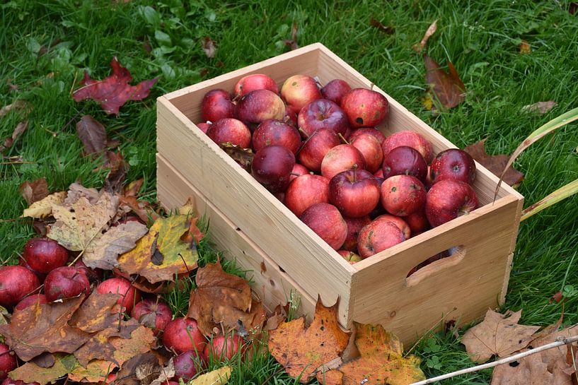 The autumn harvest by Claude Laprise