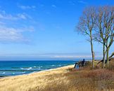 In den Dünen - Ahrenshooper Szenerie - Ostsee von Gisela Scheffbuch Miniaturansicht